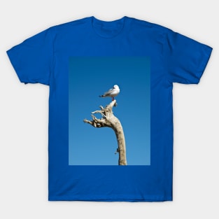 seagull on driftwood T-Shirt